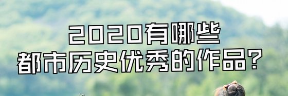 2020年都有哪些都市历史优秀的作品？